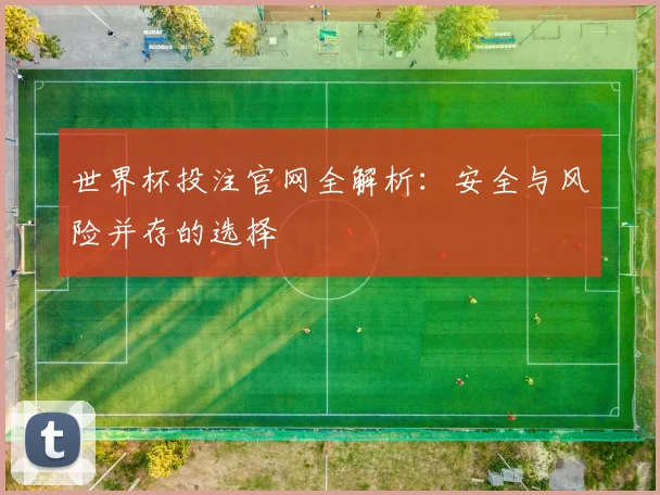 世界杯投注官网全解析:安全与风险并存的选择
