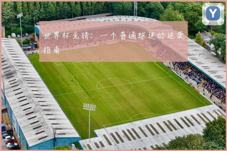 世界杯竞猜：一个普通球迷的逆袭指南