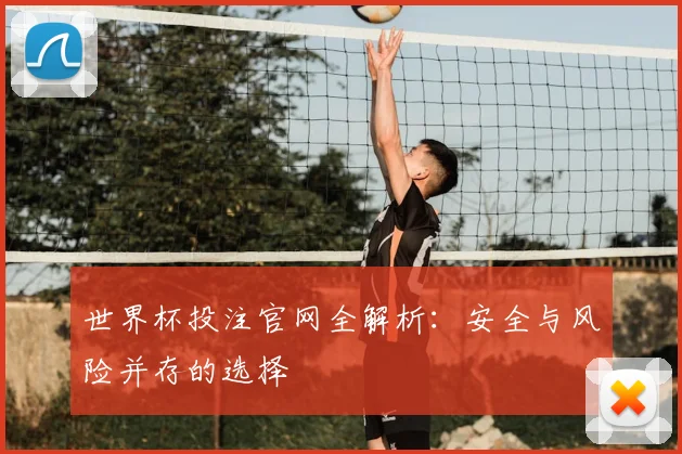 世界杯投注官网全解析:安全与风险并存的选择
