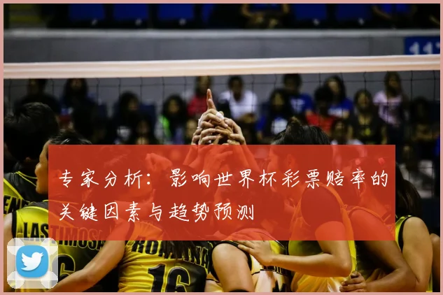 专家分析:影响世界杯彩票赔率的关键因素与趋势预测