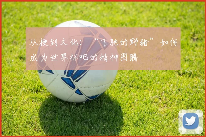 从梗到文化:“飞驰的野猪”如何成为世界杯吧的精神图腾