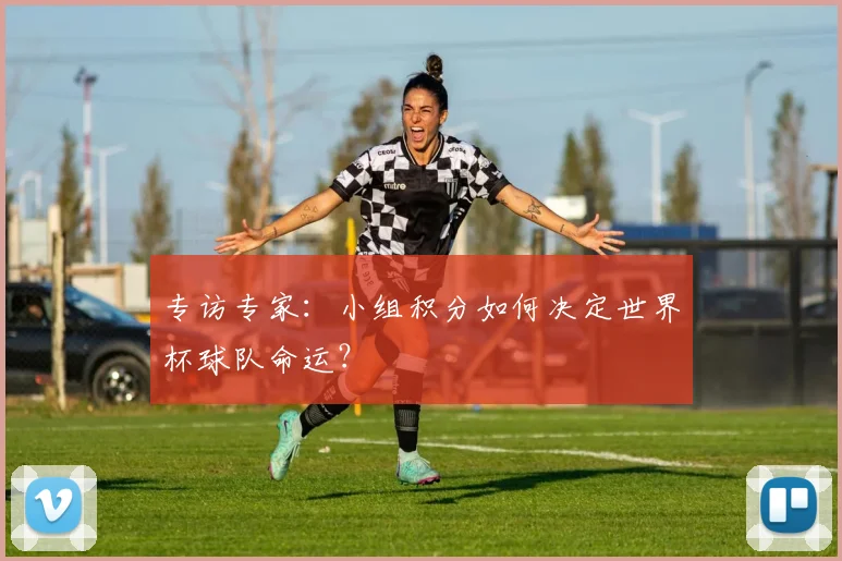 专访专家:小组积分如何决定世界杯球队命运?