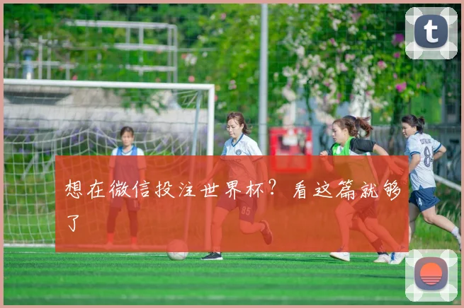 想在微信投注世界杯？看这篇就够了